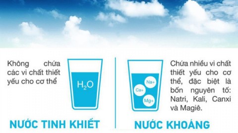 Phân biệt nước khoáng, nước suối và nước tinh khiết