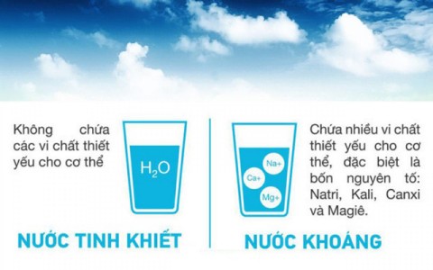 Phân biệt nước khoáng, nước suối và nước tinh khiết